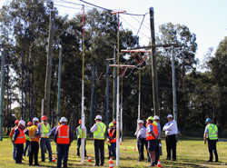 MSCLE® in multiple lift situations